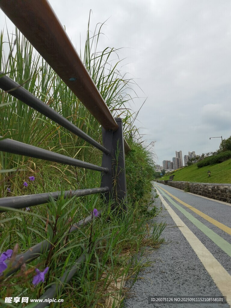 路邊護(hù)欄旁的自然景致