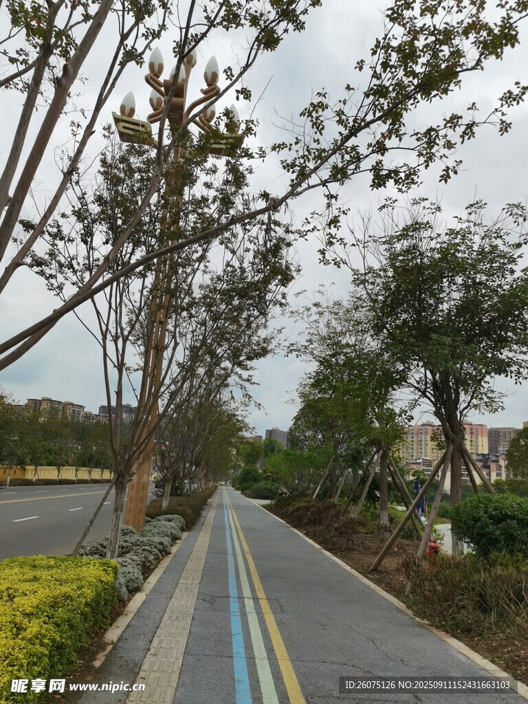 城市彩色步道與路旁綠樹