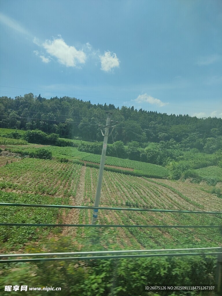 田園風(fēng)光田野綠意盎然