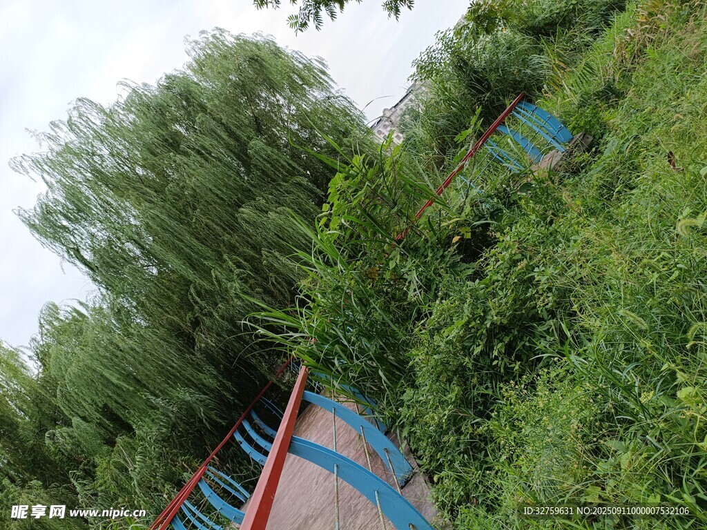戶外綠植環(huán)繞的設(shè)施場(chǎng)景