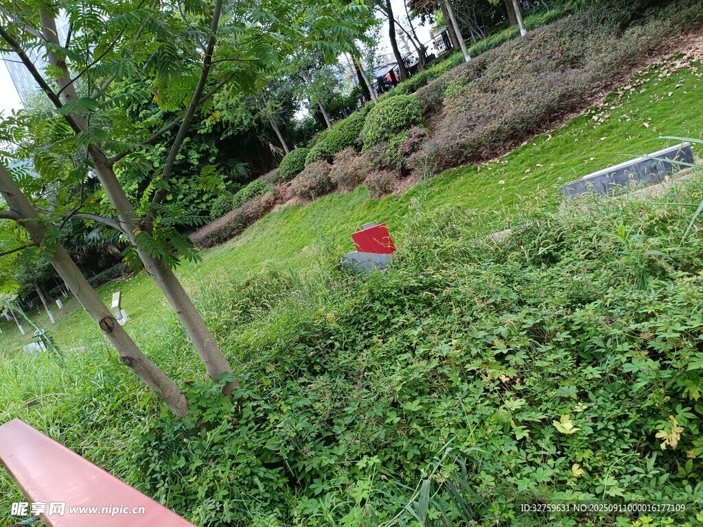 綠意盎然的戶外自然景致