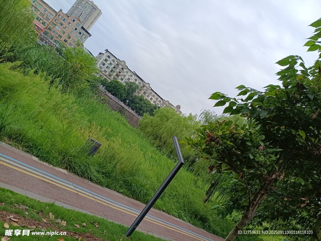 城市中的綠意小徑