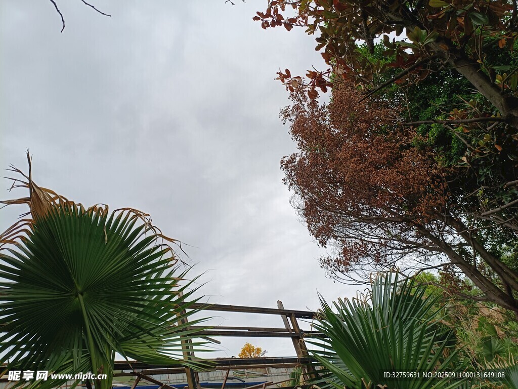 戶外綠植與木質(zhì)結(jié)構(gòu)景觀