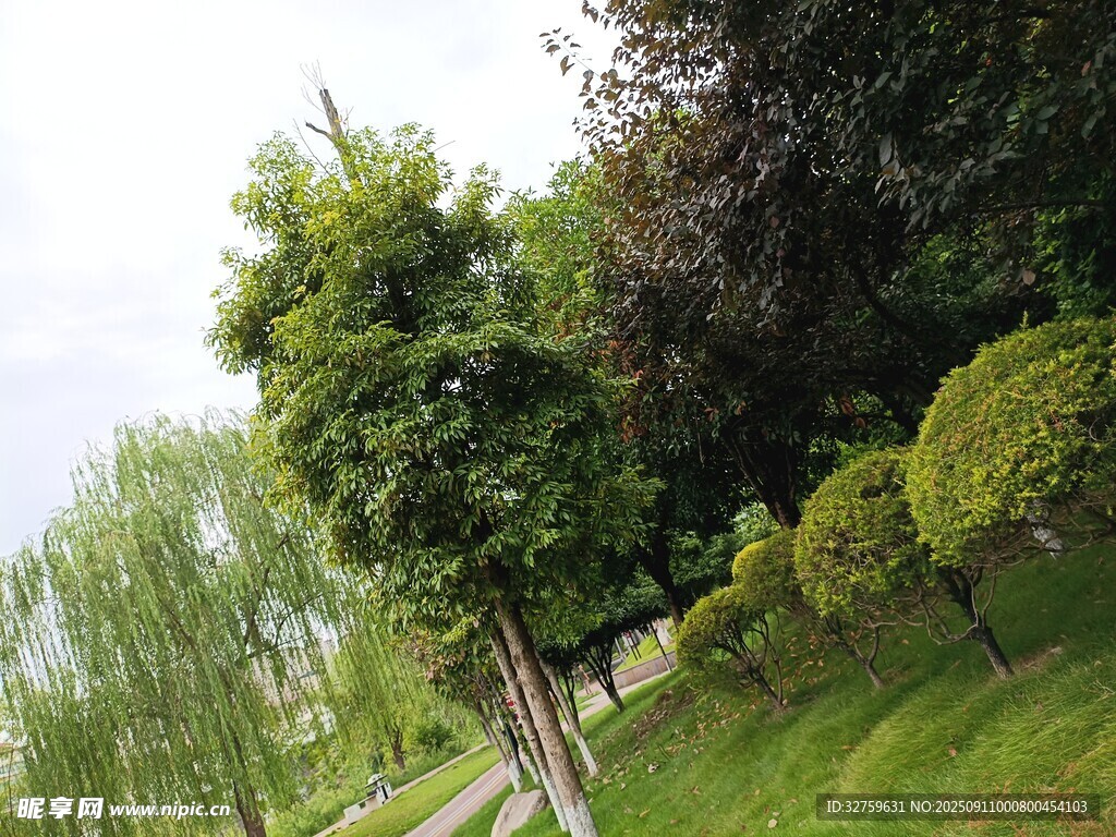綠意盎然的公園景觀