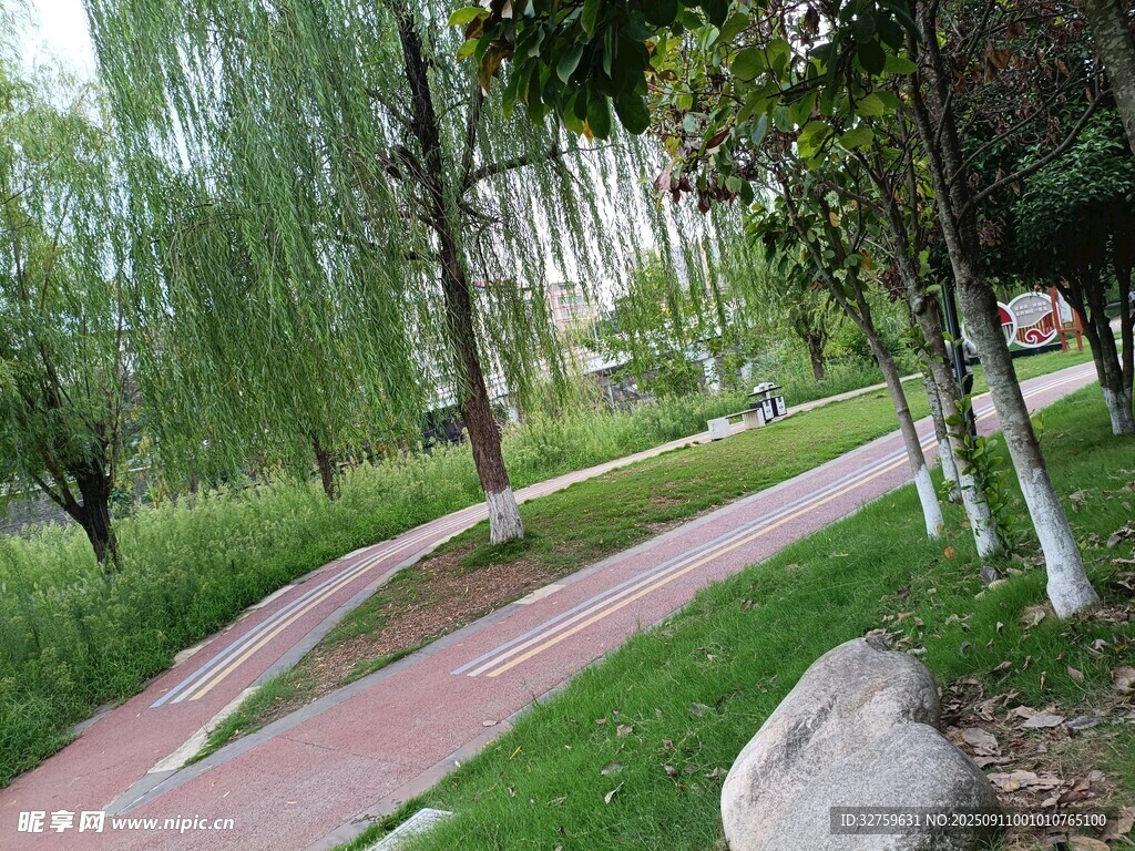 公園中的蜿蜒彩色步道