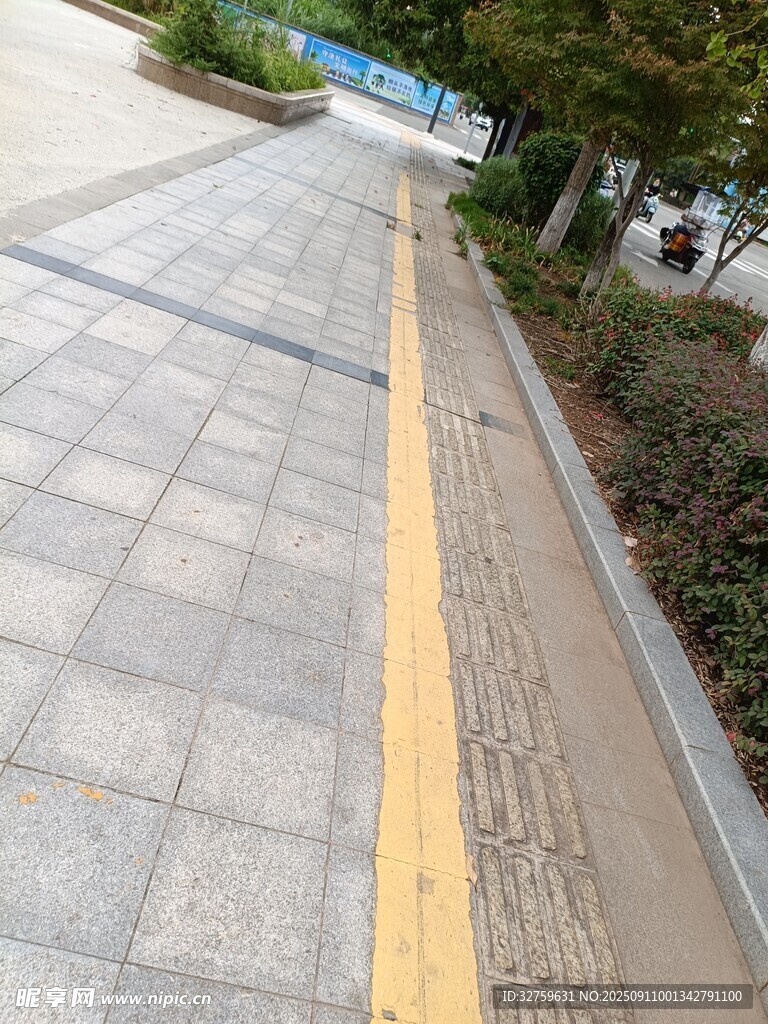 城市人行道旁的綠化帶