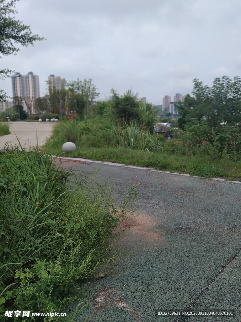 城郊小路旁的綠植與遠(yuǎn)景