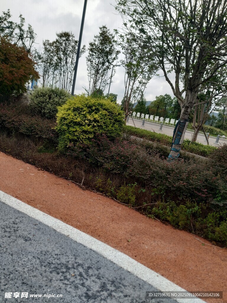 城市路邊綠植景觀