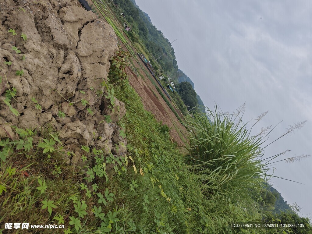 山間田野邊的雜草與土坡
