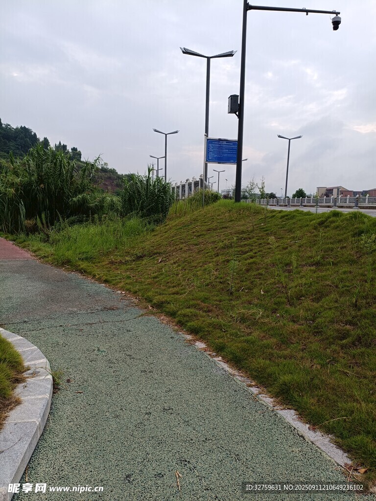 郊外蜿蜒的綠色小路