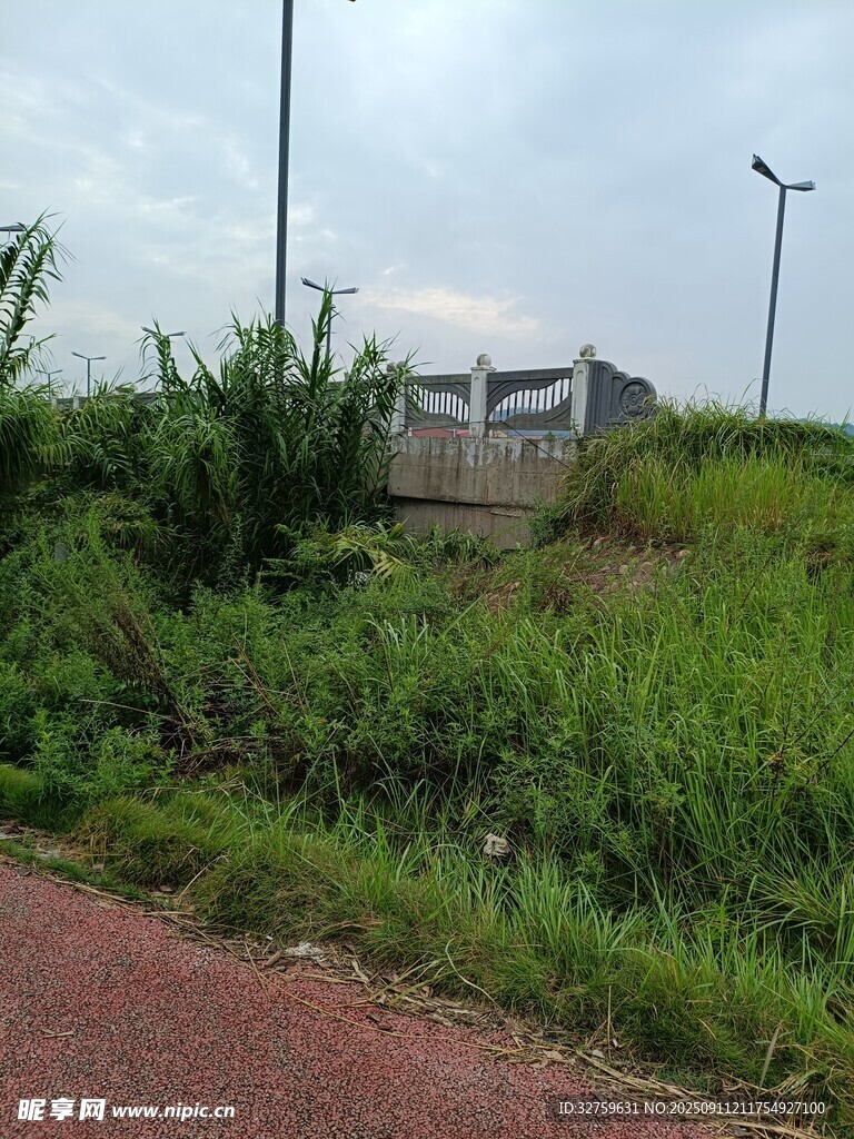 路邊綠植中的石砌結(jié)構(gòu)