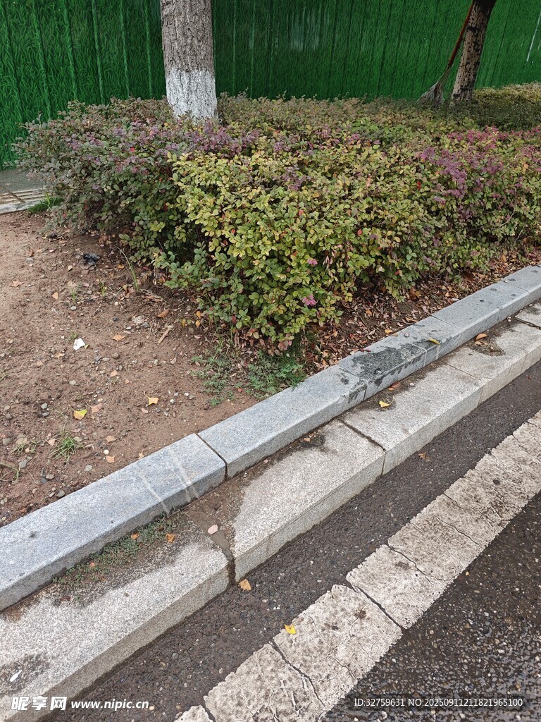路邊綠植旁的木質(zhì)擋土條