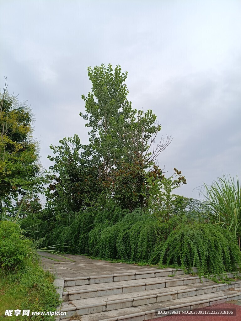 戶(hù)外綠植環(huán)繞的石階小徑