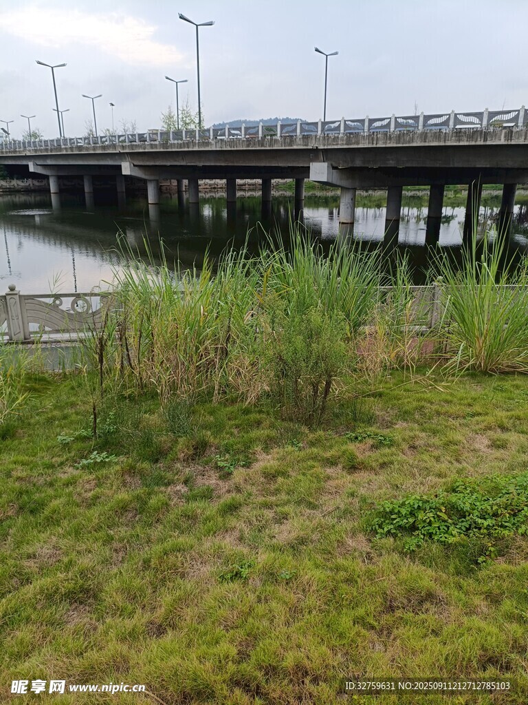 河畔橋梁邊的自然景致