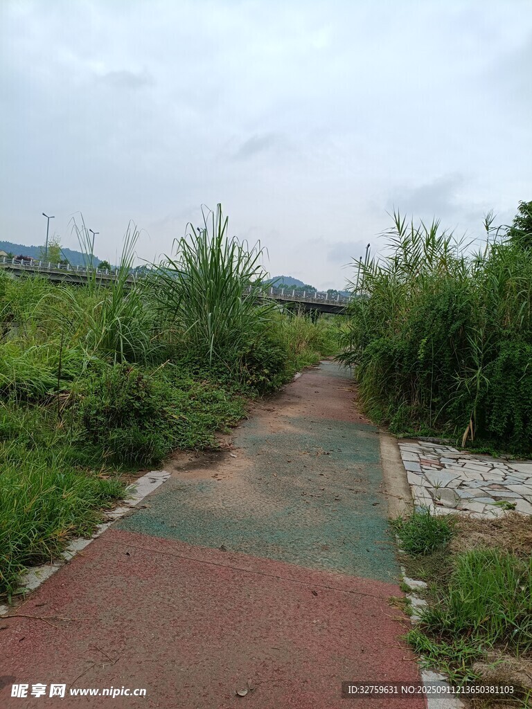鄉(xiāng)間多彩小徑 