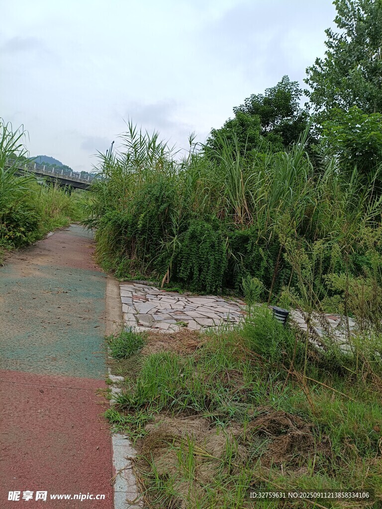 戶外彩色步道旁綠植景觀