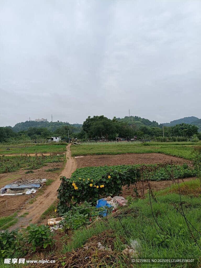 鄉(xiāng)村田野風(fēng)光景色
