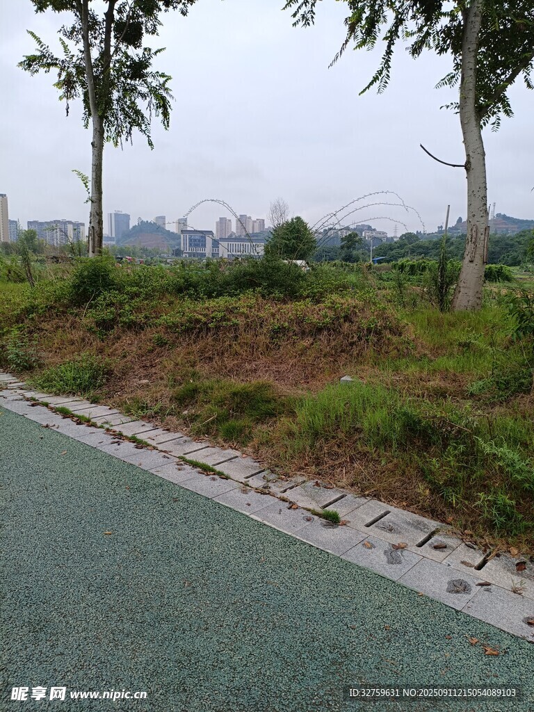 路邊綠植景觀