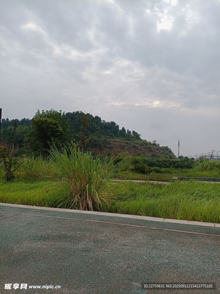 鄉(xiāng)村公路旁的綠野山丘