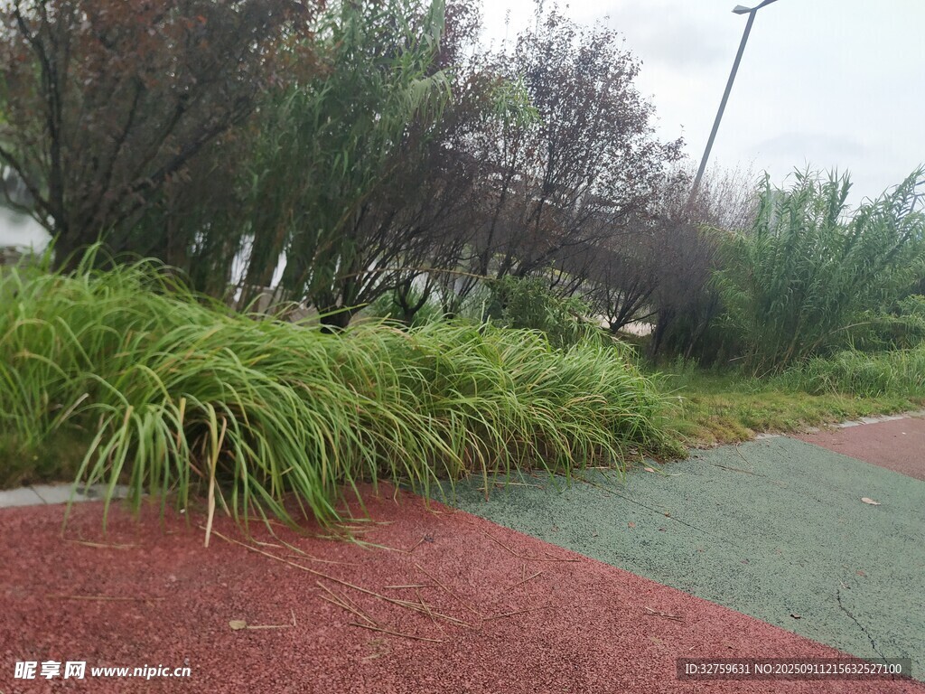 公園彩色步道旁綠植景觀