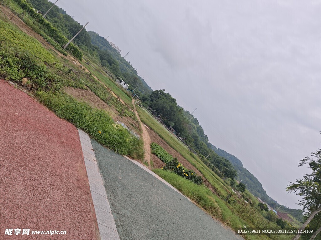 鄉(xiāng)村小路旁的自然風光