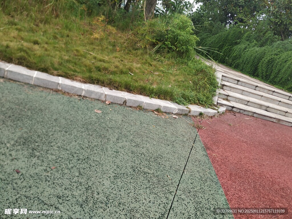 彩色步道與周邊綠植景觀