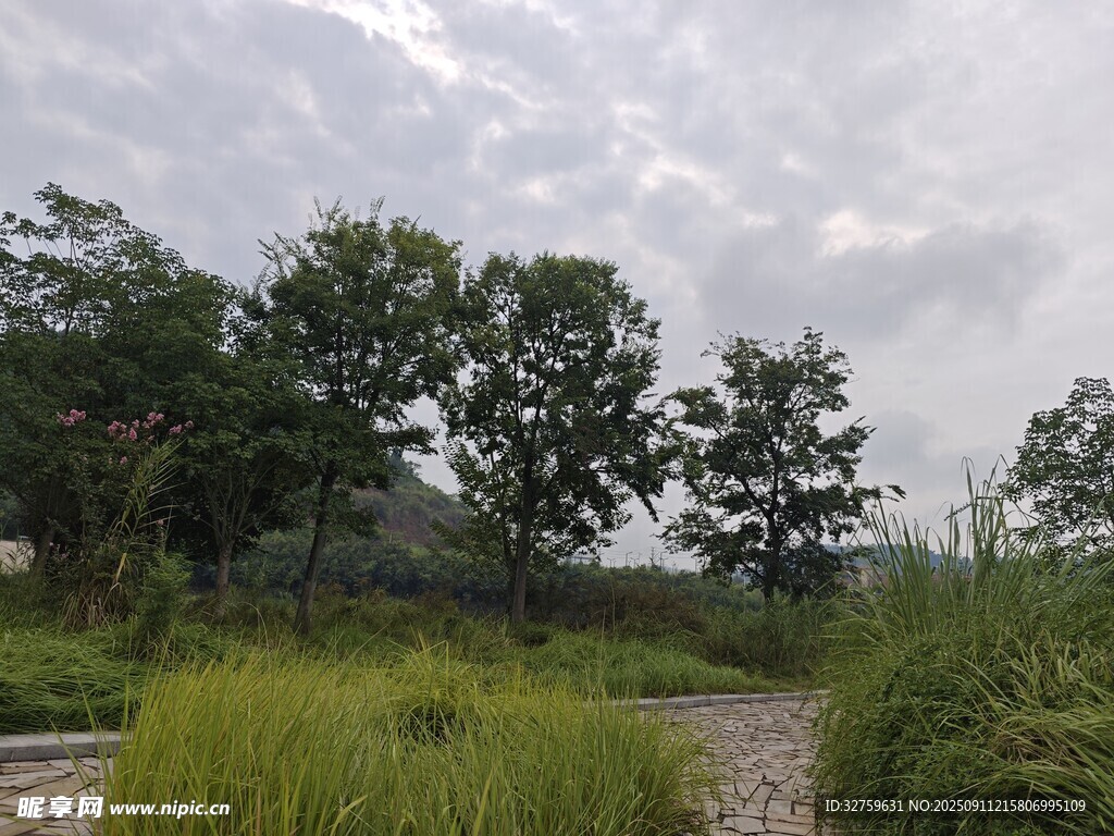 鄉(xiāng)村田野間的自然景致