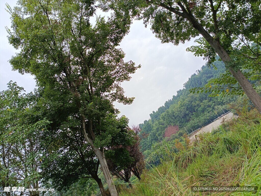 山間綠樹風(fēng)景