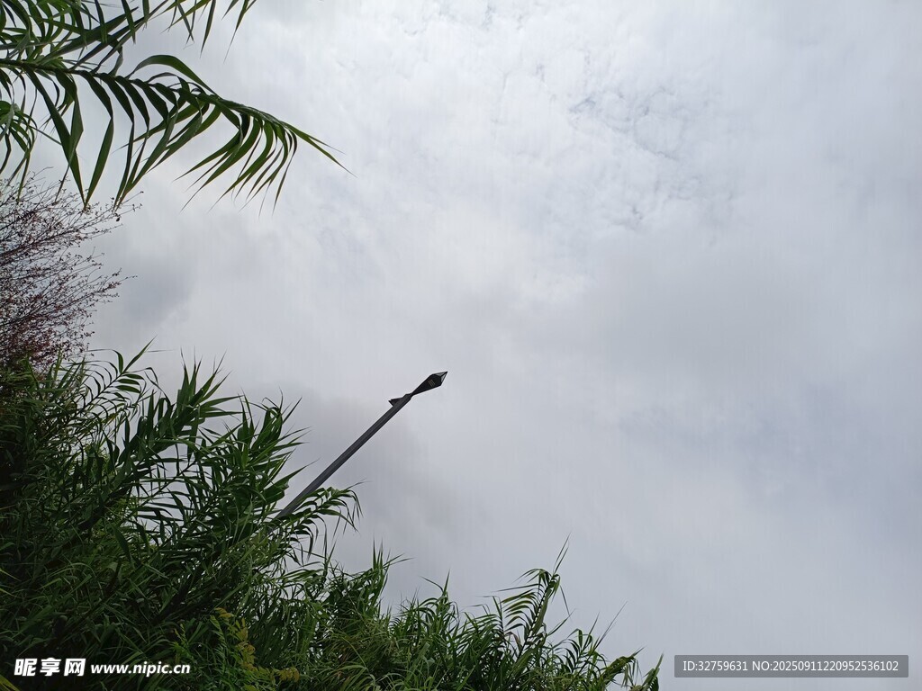 天空下的綠植景觀