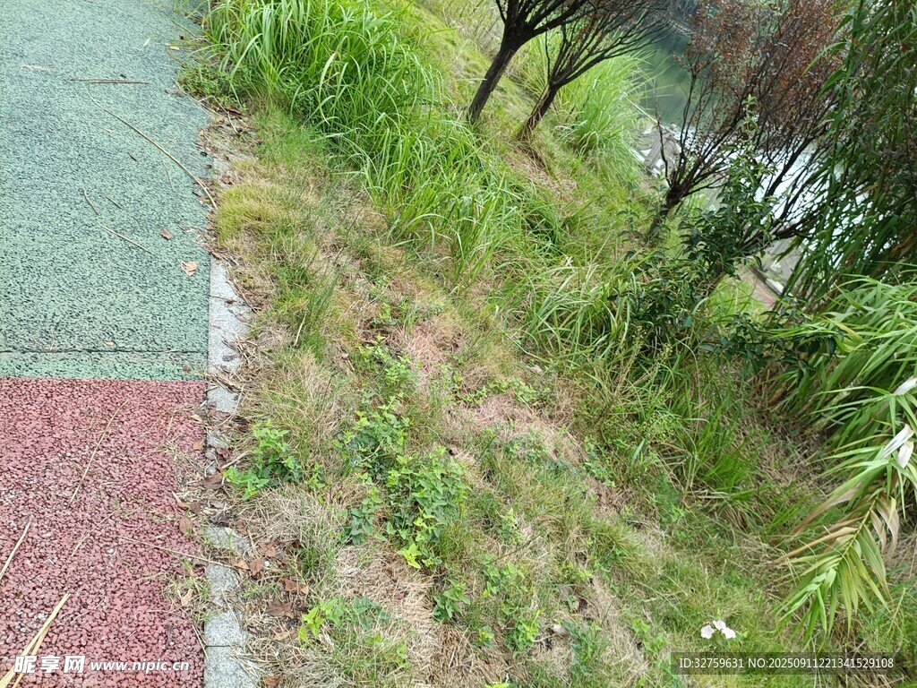 路邊草地與多彩步道