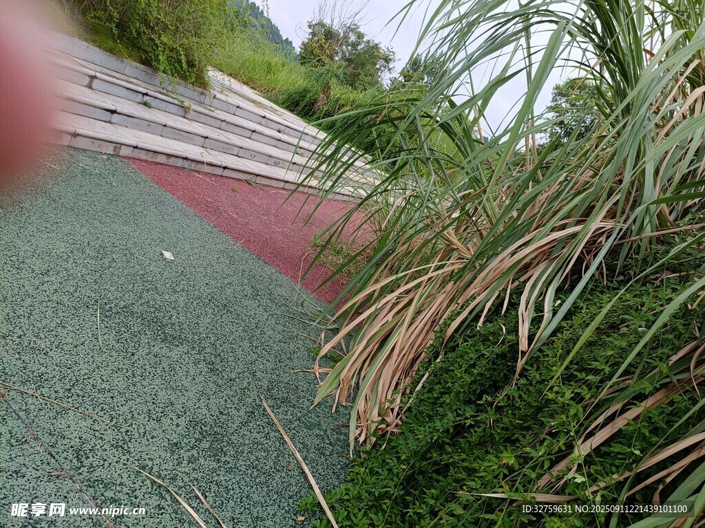 戶外綠植旁的紅色步道