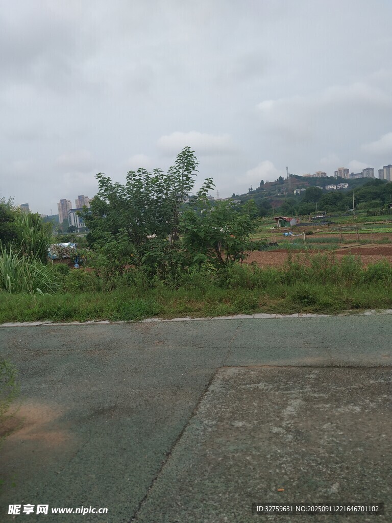 鄉(xiāng)村公路邊的綠意景致