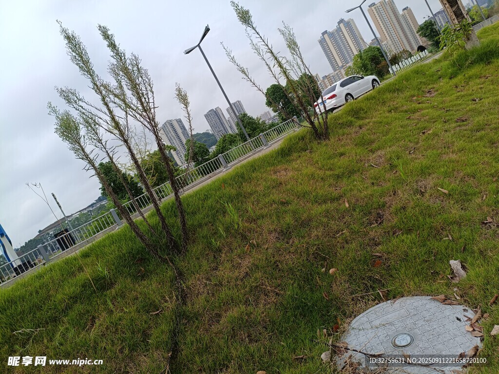 城市草地與遠處高樓景觀