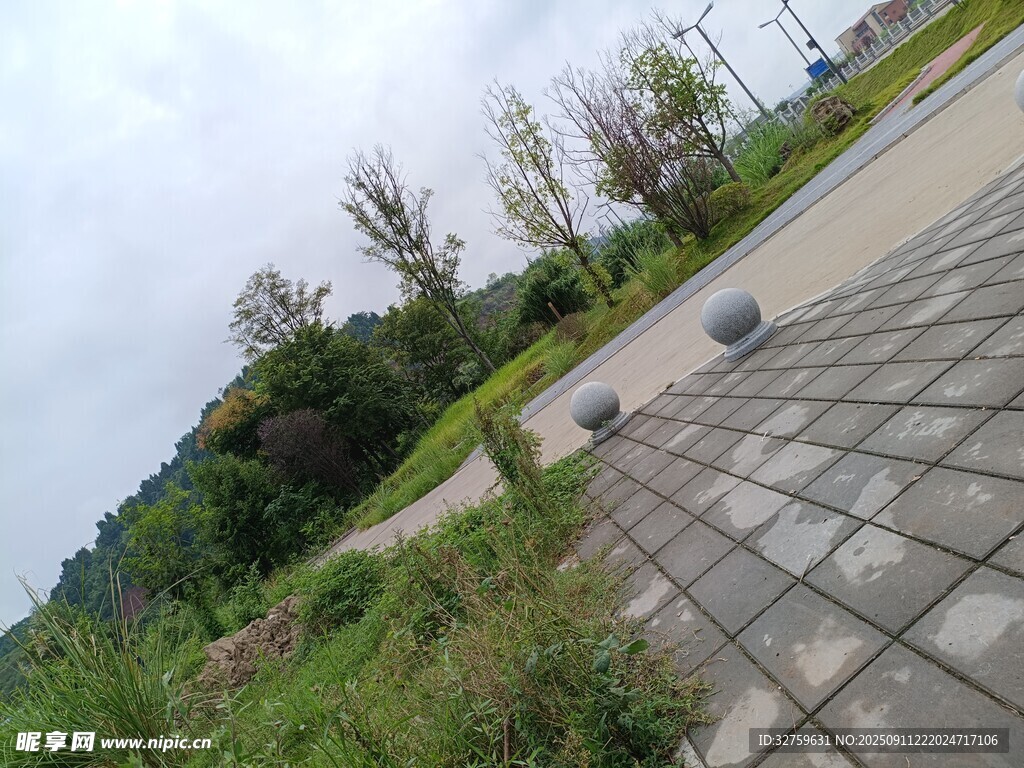 戶外道路旁的綠植景觀