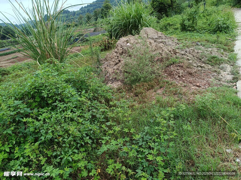 野外綠植環(huán)繞的土堆場景