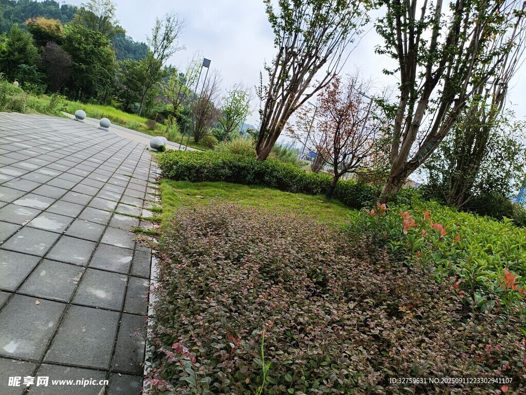 林間步道 