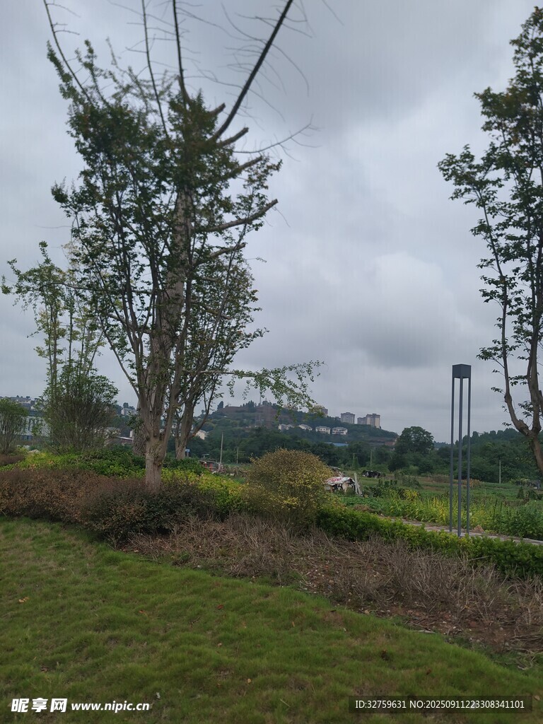 郊外綠意盎然的自然景致