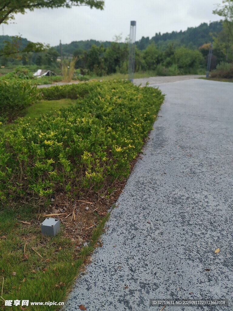 蜿蜒碎石路旁的綠植景觀