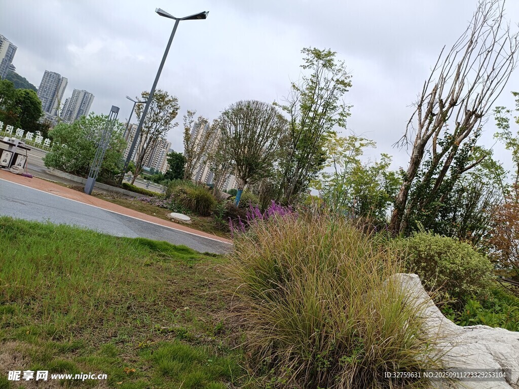 城市路邊的綠植景觀