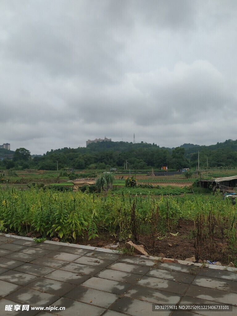 鄉(xiāng)村田野風景