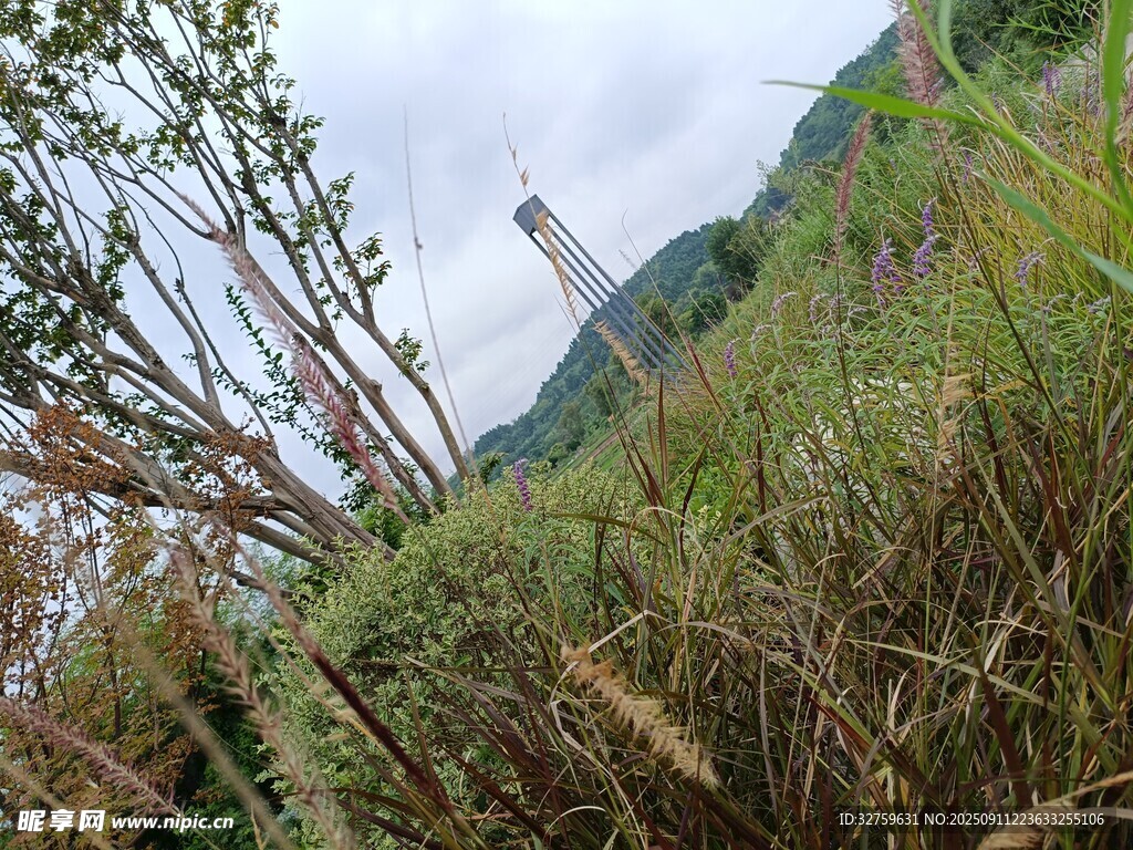 山間草木與遠處高塔