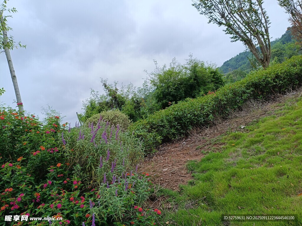 山坡綠植景觀