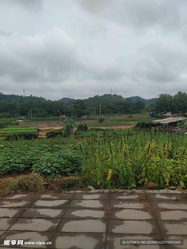 鄉(xiāng)村田園景致