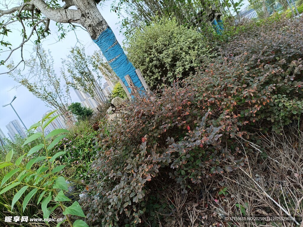 戶外綠植景觀一角
