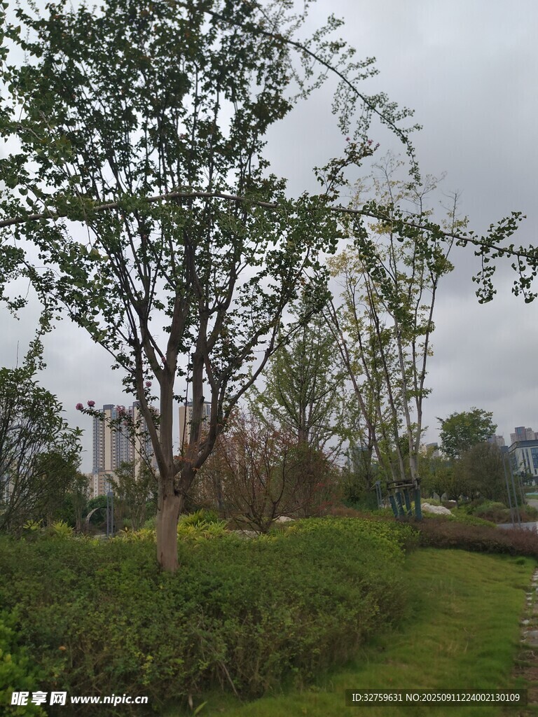 戶外綠意盎然的自然景致