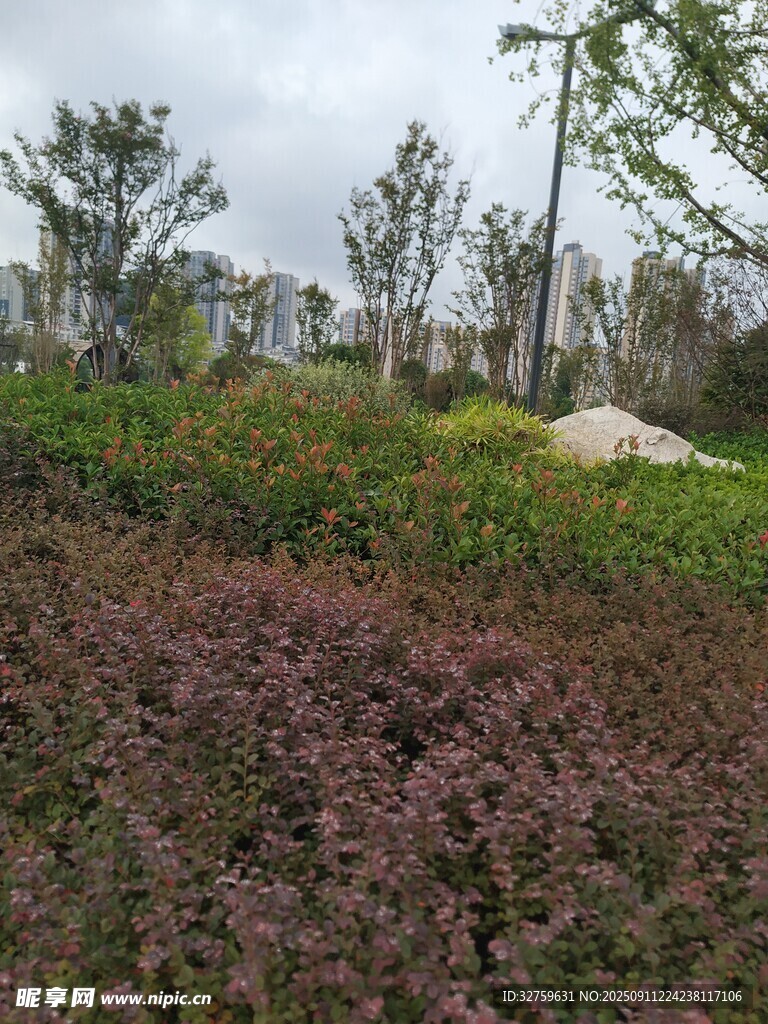 多彩植物景觀