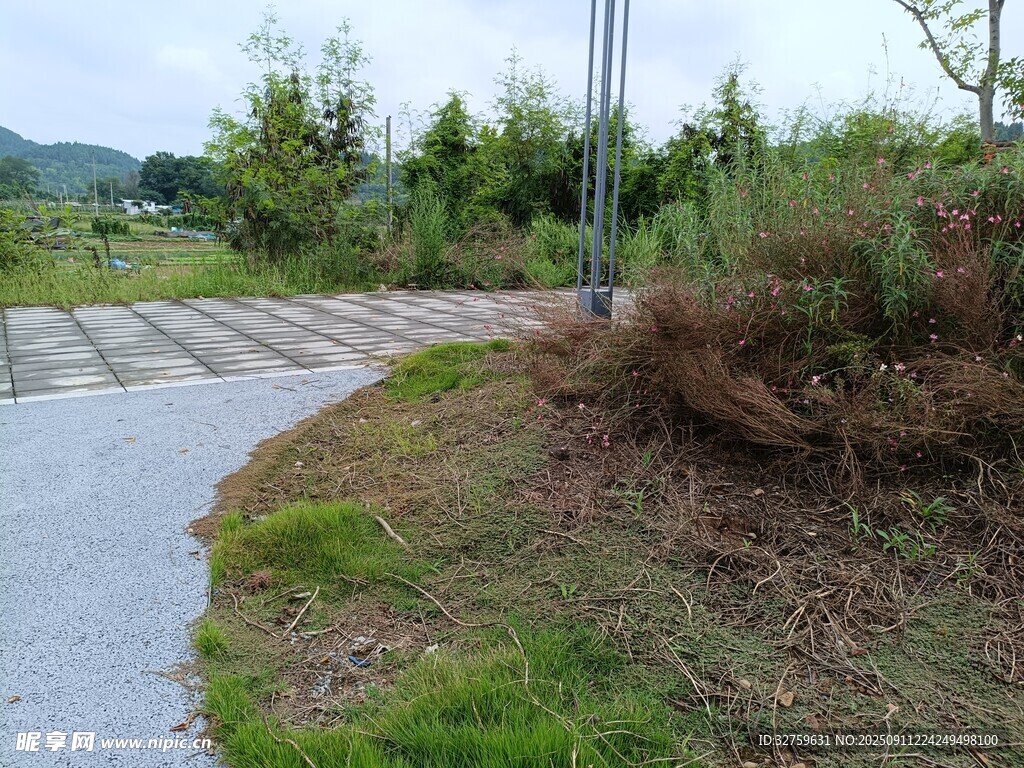 鄉(xiāng)村小路旁的自然景致