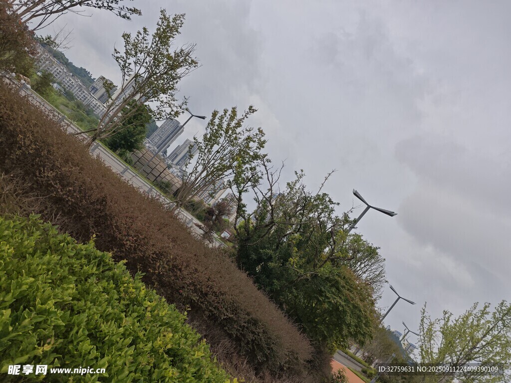 戶(hù)外自然綠植風(fēng)景畫(huà)面