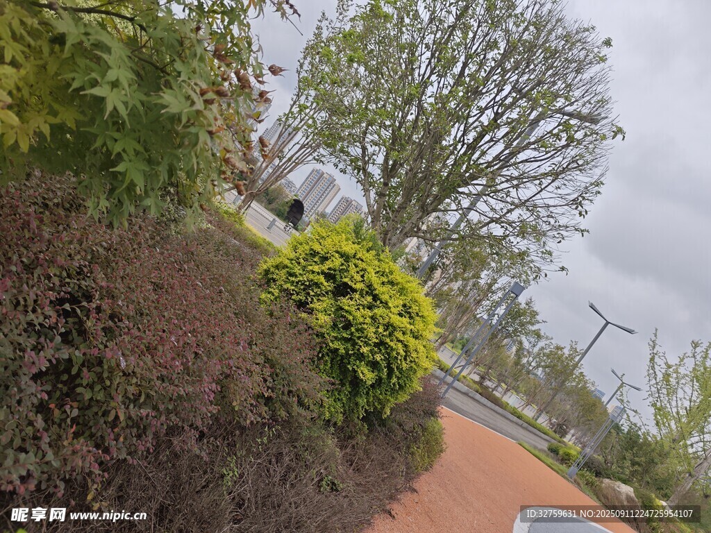 公園中色彩豐富的綠植景觀