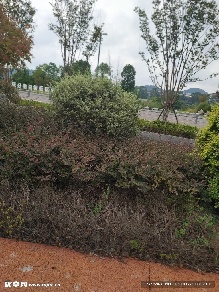 戶外土坡綠植景觀